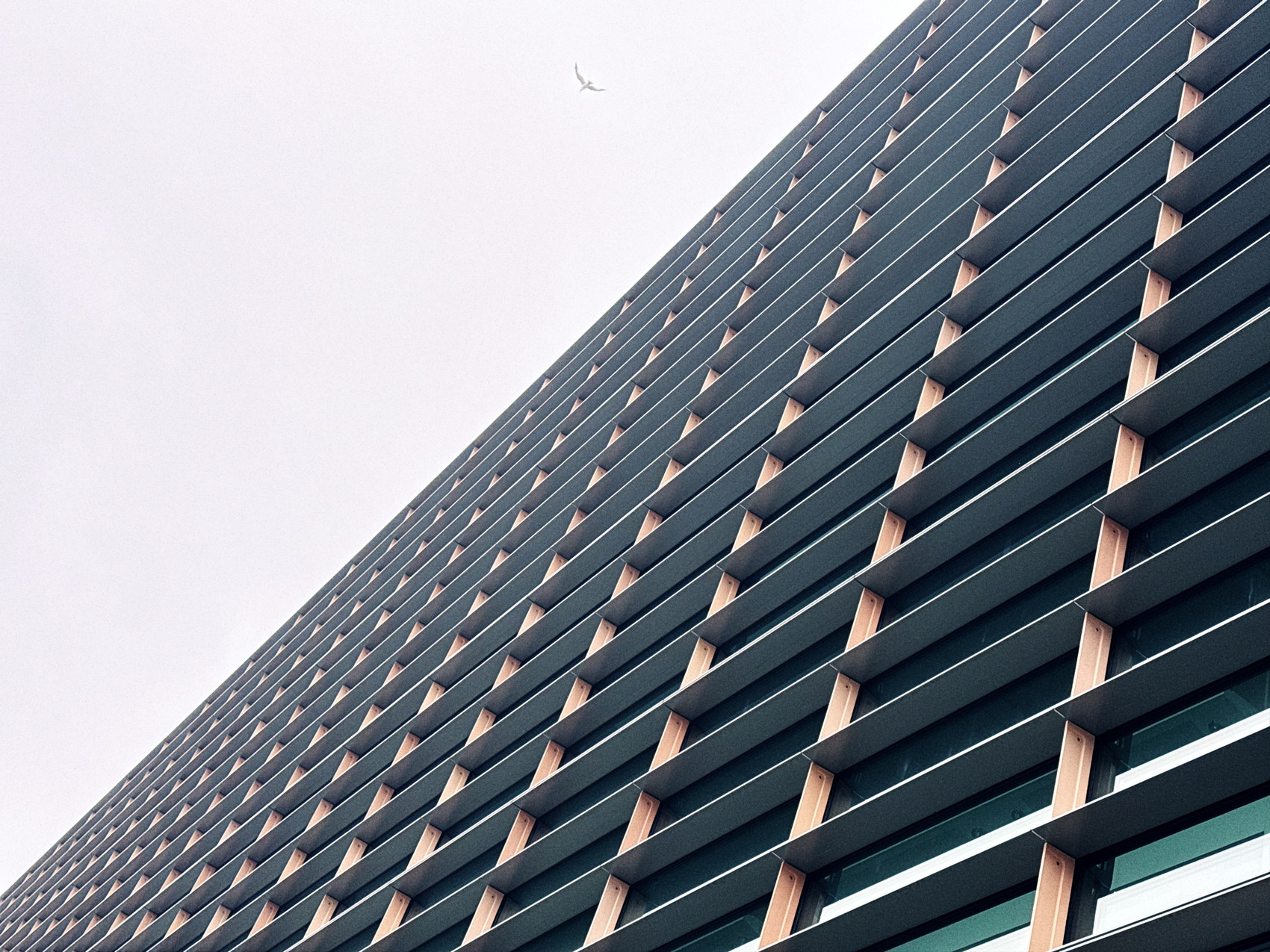 Francis Crick Institute