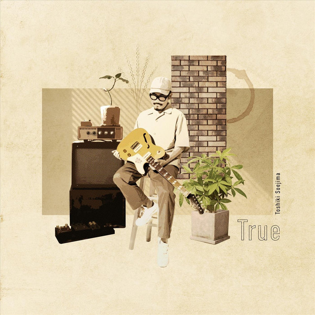 Toshiki Soejima - True